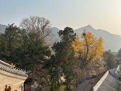 -潭柘寺景区