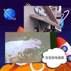 -恐龙探索乐园(磁器口店)
