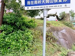 -大姆山草场