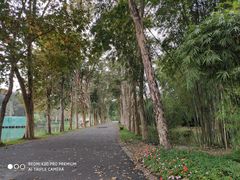 -华南国家植物园-售票处