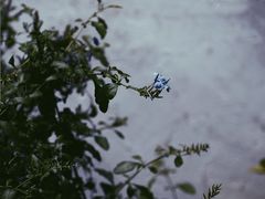 -中国京杭大运河博物馆