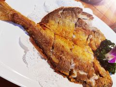 -原汁原味驴庄(长岭村店)
