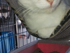 -赢吧Bliss音乐酒吧
