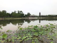 -西海子公园