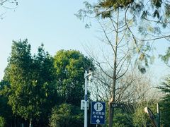 -合肥野生动物园