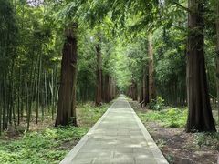 -同里国家湿地公园
