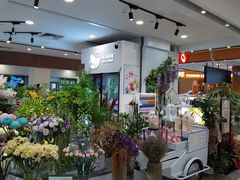 -巴黎春天(浦建店)