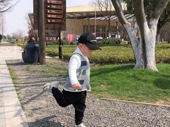 -田园东方蜜桃村的田野营地