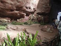 -安徽省地质博物馆