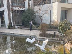 -广富林宰相府酒店·水云间