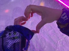 -世界之窗阿尔卑斯冰雪世界