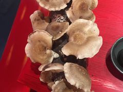 -谭鸭血老火锅(漳州路店)