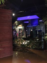 -奇幻丛林(佛罗伦萨小镇店)