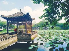 -老木棉·匠园