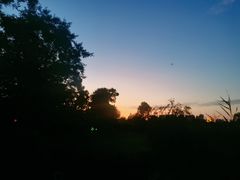 -Supine Bistro溯泮餐厅