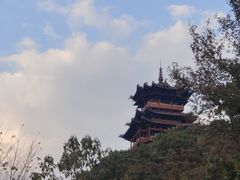 -杭州半山国家森林公园