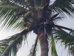 -深圳湾公园(南山区)