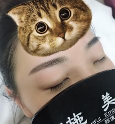 -西施无菌半永久纹绣眉眼影唇轻增发纹发际线