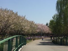 -白塘生态植物园