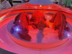 -侏罗纪世界电影特展(广州站)