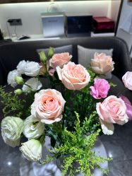 -MIDA蜜哒•科技逆龄美肤连锁