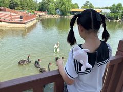 -无锡动物园·太湖欢乐园