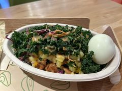 -油梨树AVOCADO TREE(嘉里中心店)