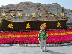 -鬼笑石后山停车场
