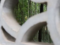 -望江楼公园