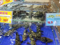 -东江海鲜酒家(艺都分店)