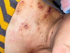 -北京中医药大学东方医院(方庄院区)