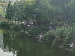 -重庆彩云湖湿地公园