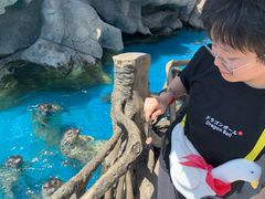 -华夏文旅海洋公园