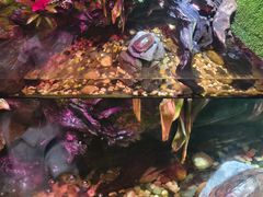 -上海海洋水族馆