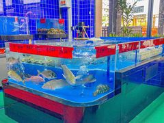 -明本湛江鸡•海鲜小厨(陈家祠店)