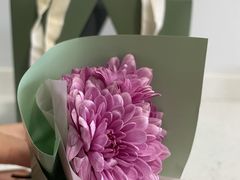 -小苍兰风铃草蛋糕甜品(沈阳店)