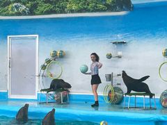 -尼莫海豚馆