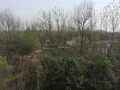 -溱湖国家湿地公园