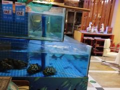 -同喜烤鸭店(光芒店)