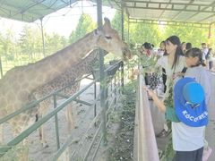 -秦皇岛野生动物园