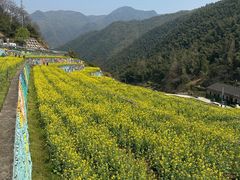 -四明山国家森林公园
