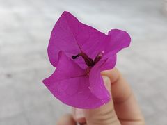 -益健·足疗汗蒸SPA(芙蓉广场店)