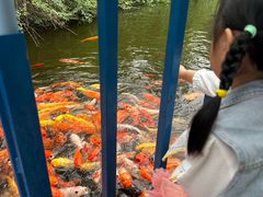 -南湖梦幻岛