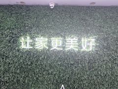 -天鹅到家·保姆月嫂育儿嫂(朝阳店)