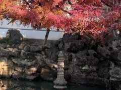 -雅戈尔富宫大酒店(观前街店)