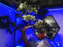 -绿茶餐厅(成都大悦城店)