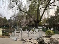 -宣武艺园