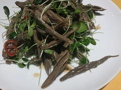 -素虎小呆鸟(西二旗店)