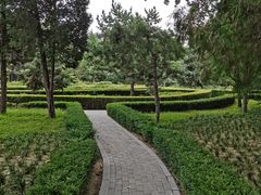 -黄村公园