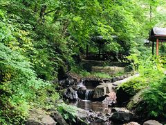 -天女山森林公园